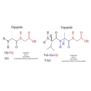 Peptides Peptides