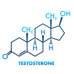 Sustanon 250, 250mg/ml solution 10ml Vial